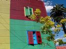 La Boca under palm tree