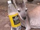 Aussies like tonic