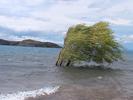 Chile Chico beach