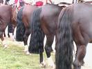 Backside of the rodeo