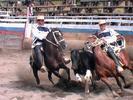 Dalcahue rodeo