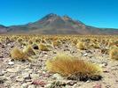 Altiplano volcan Lascar