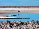Salar de Chaxa