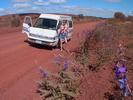 AUS camper dans le bush