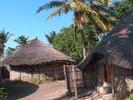 Moz Backpackers Baobab beach