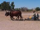 vie rurale kavango