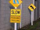 Signalisation suiver la fleche