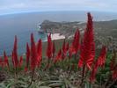 Cap Town le Cap de bonne esperance