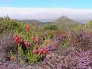 La peninsule du Cap en couleur